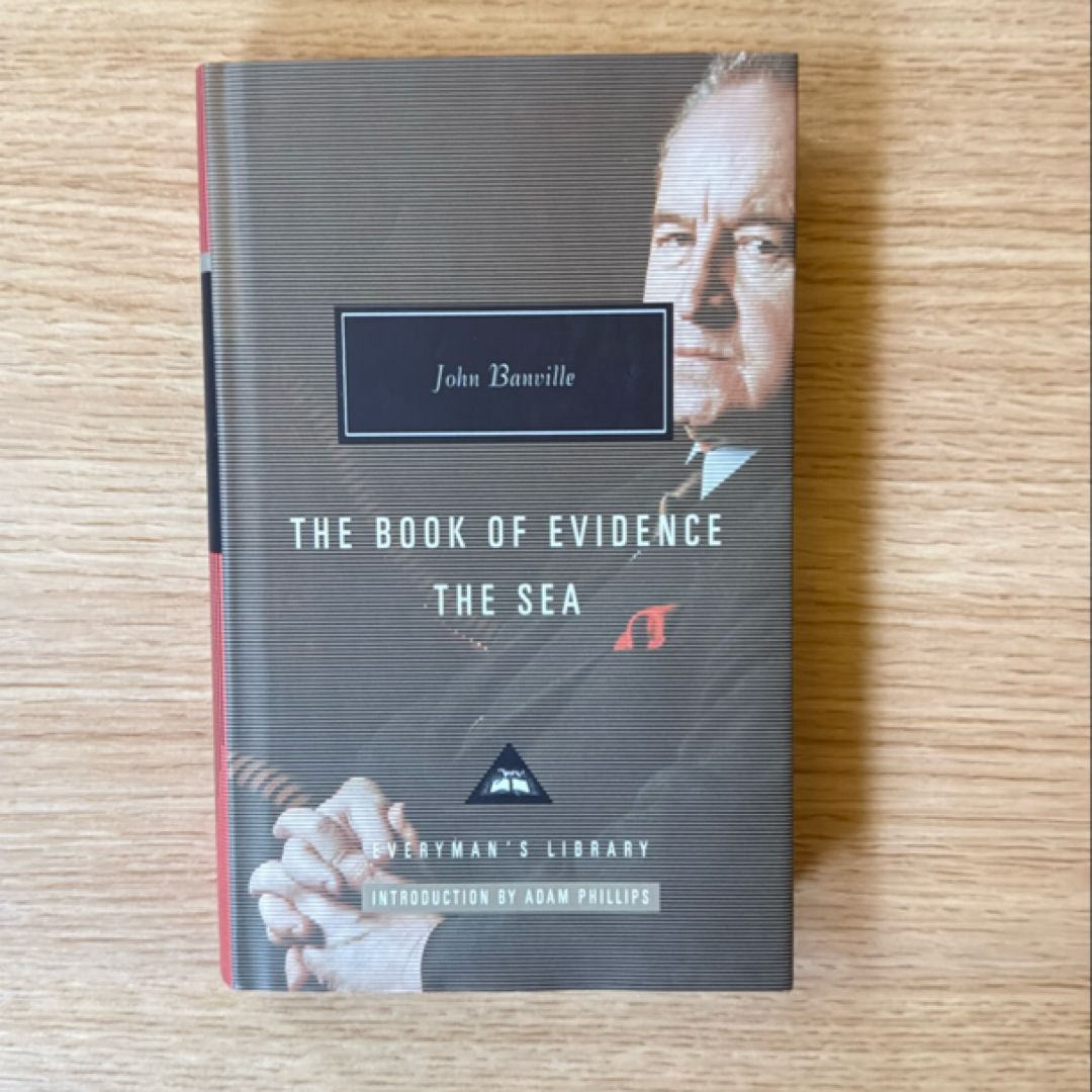 The Book of Evidence, the Sea