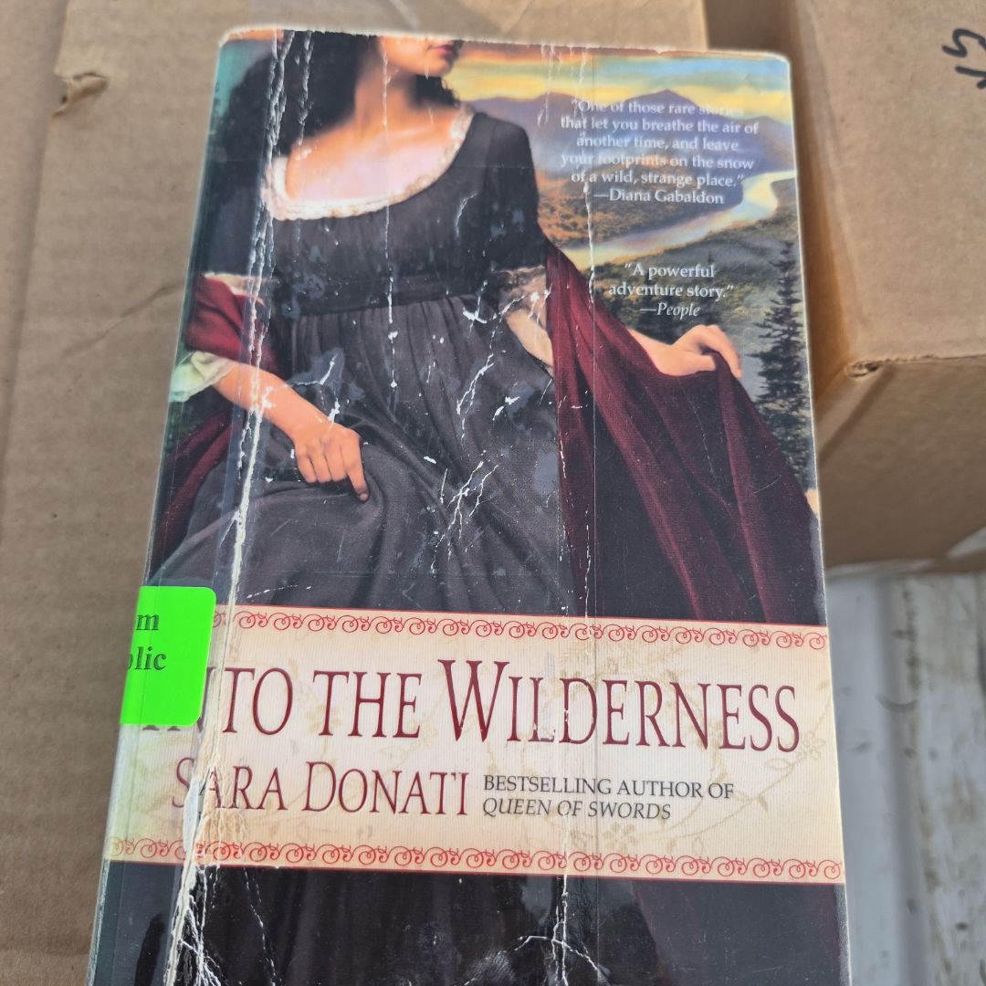 Into the Wilderness