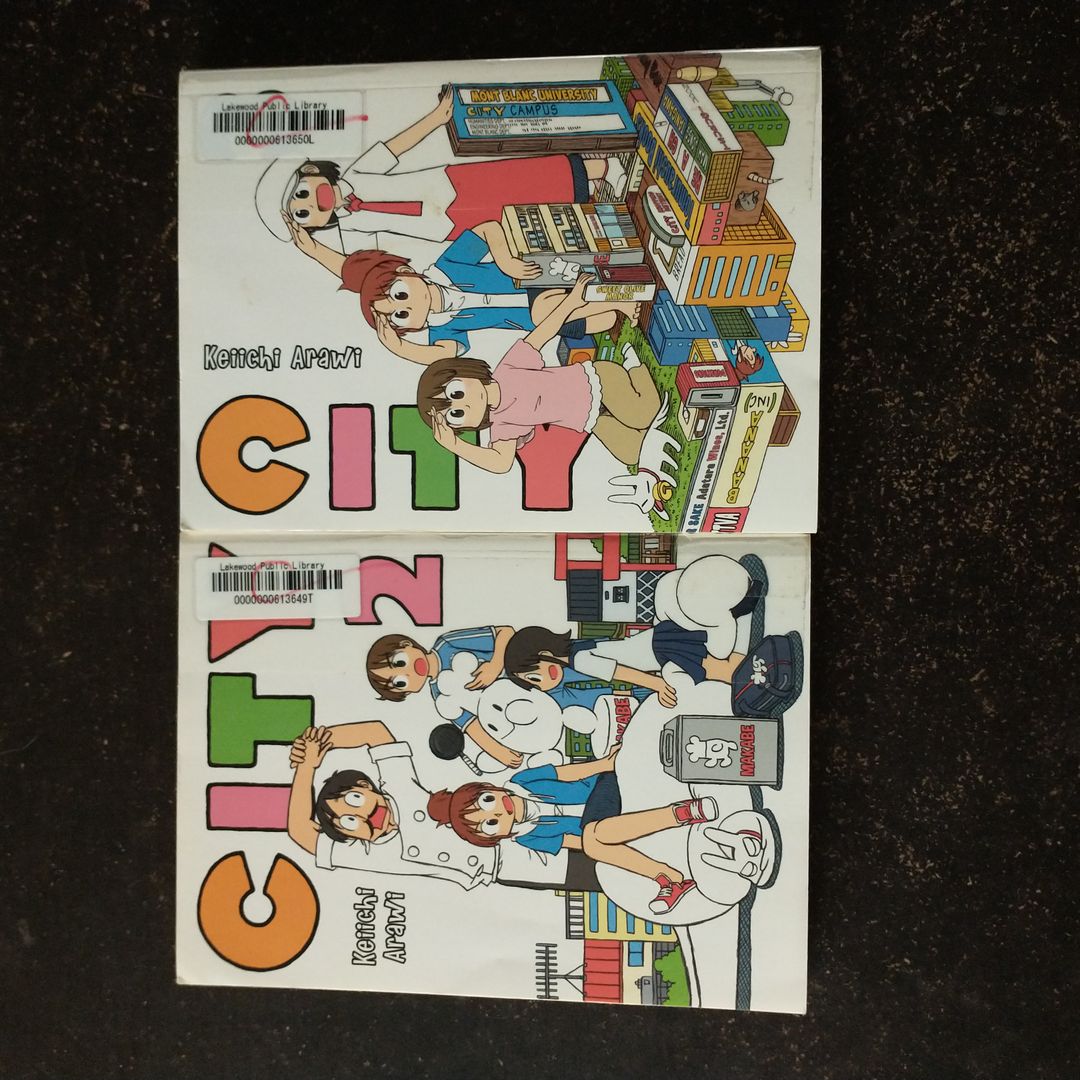 City 3