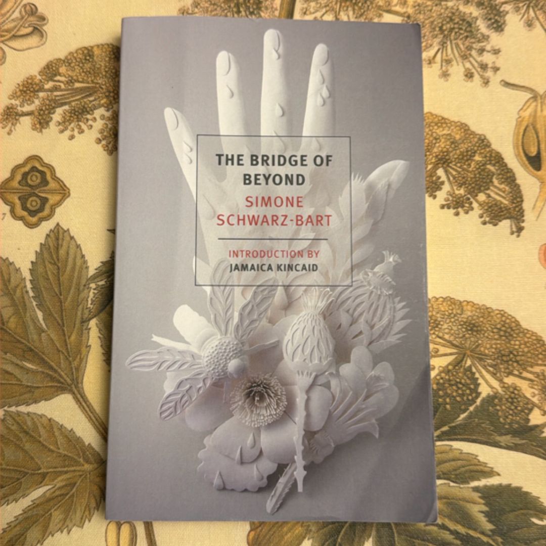 The Bridge of Beyond