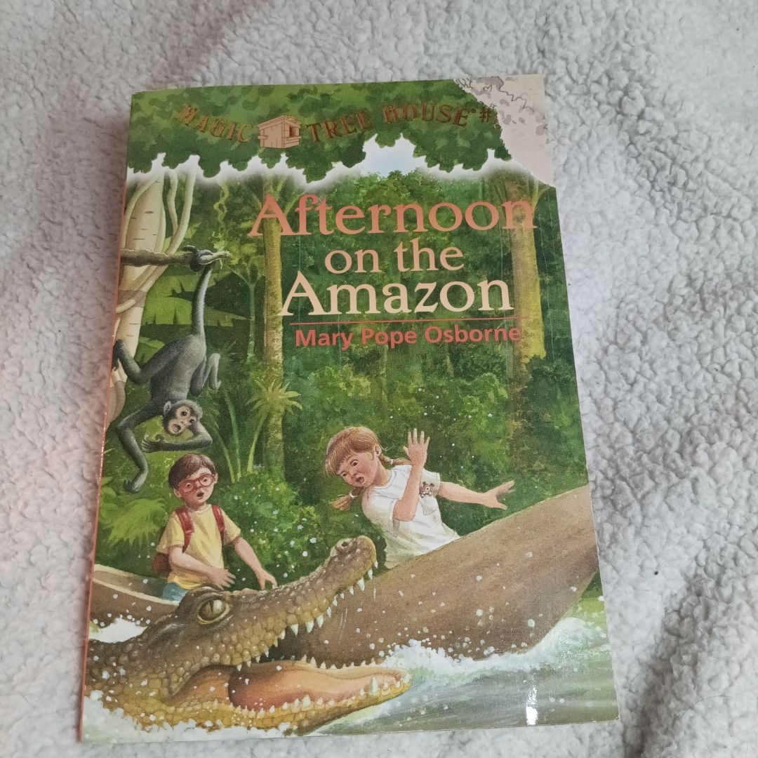 Afternoon on the Amazon