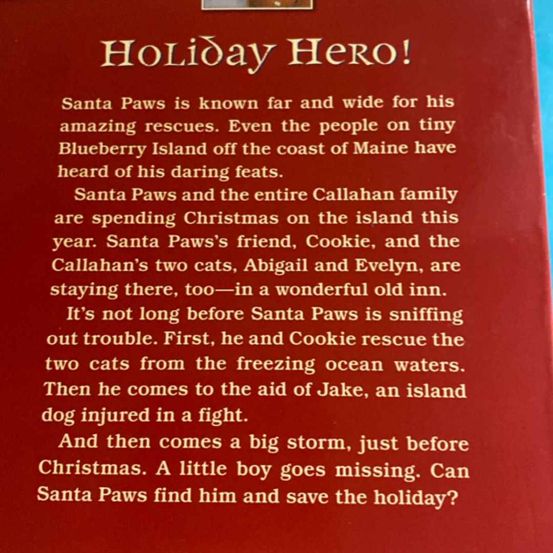 Santa Paws and the Christmas Storm