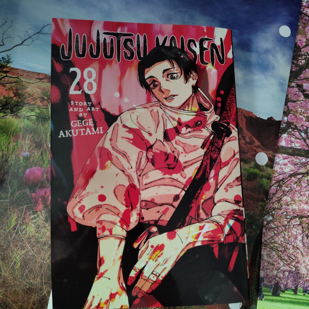 Jujutsu Kaisen, Vol. 28
