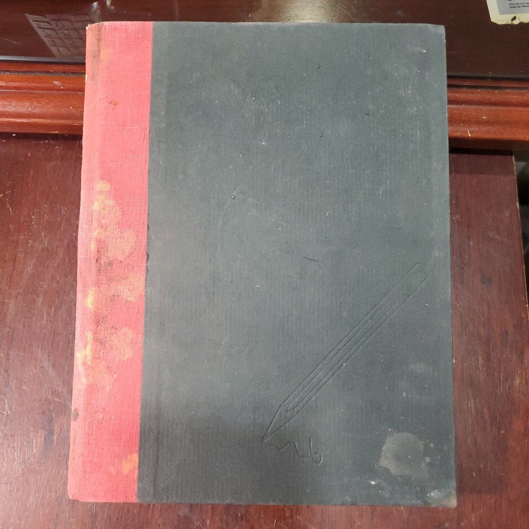 The Young Writer's Handbook