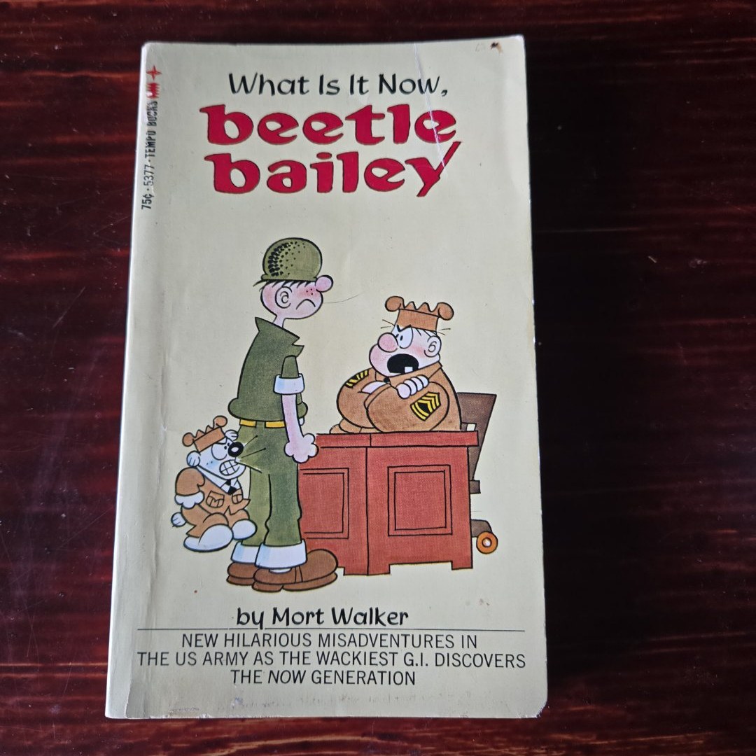 What is it Now, Beetle Bailey?