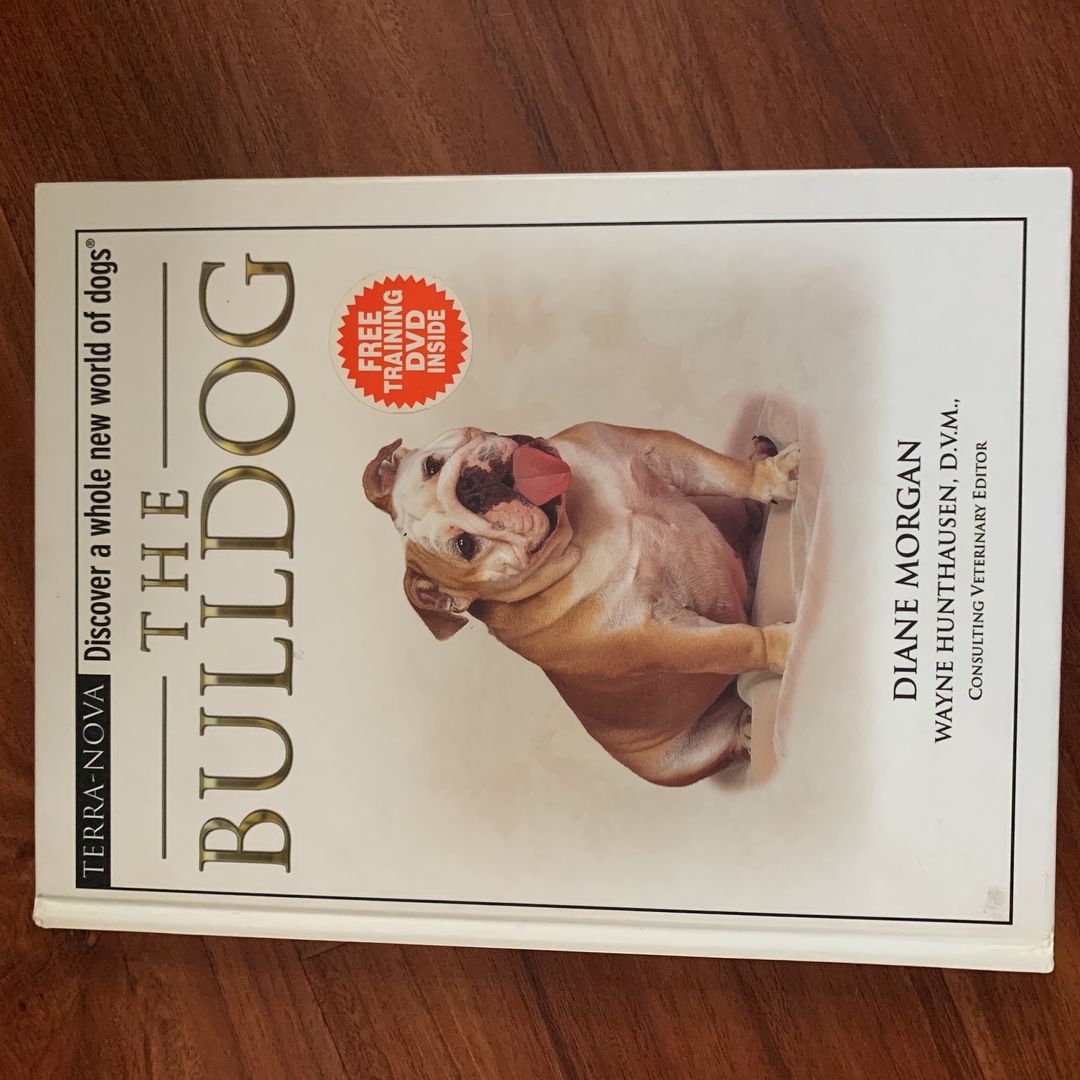 The Bulldog