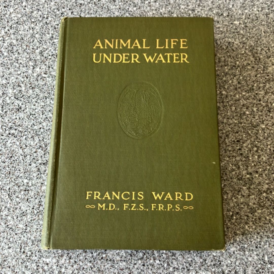 Animal Life Under Water