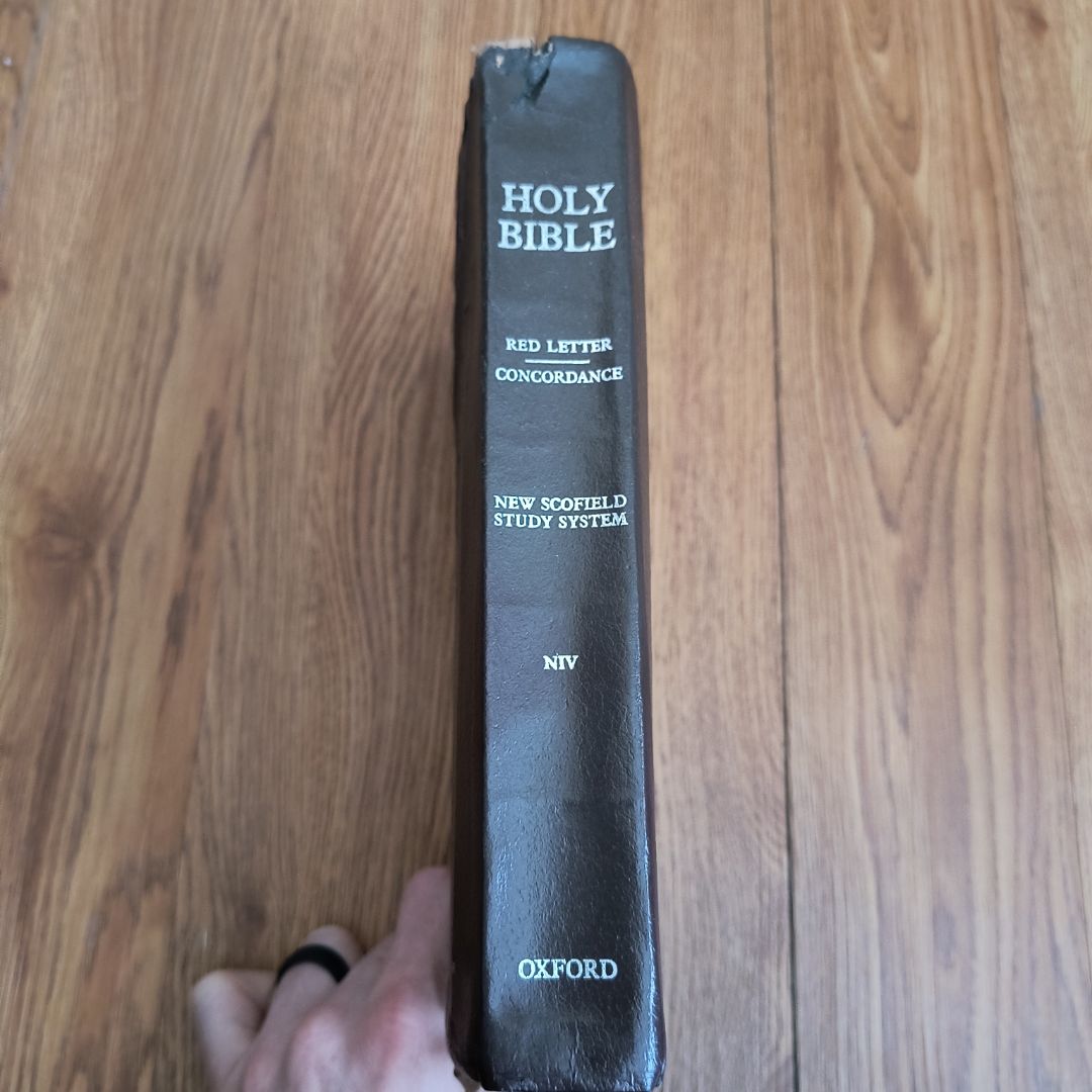New Scofield study system NIV Holy Bible 