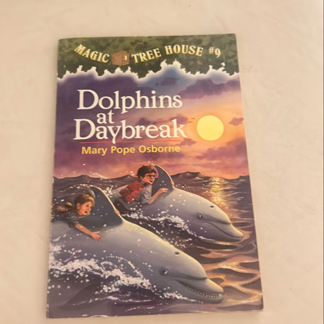 Dolphins at Daybreak  