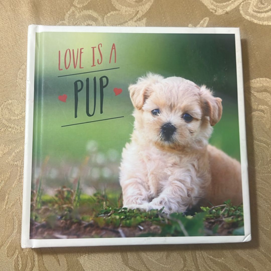 Love Is a Pup