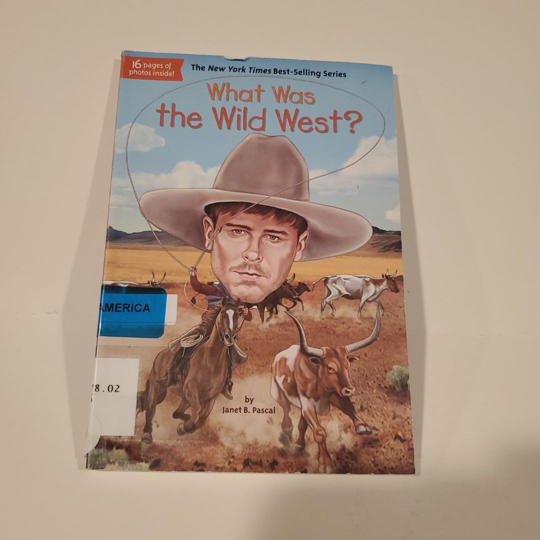 What Was the Wild West?