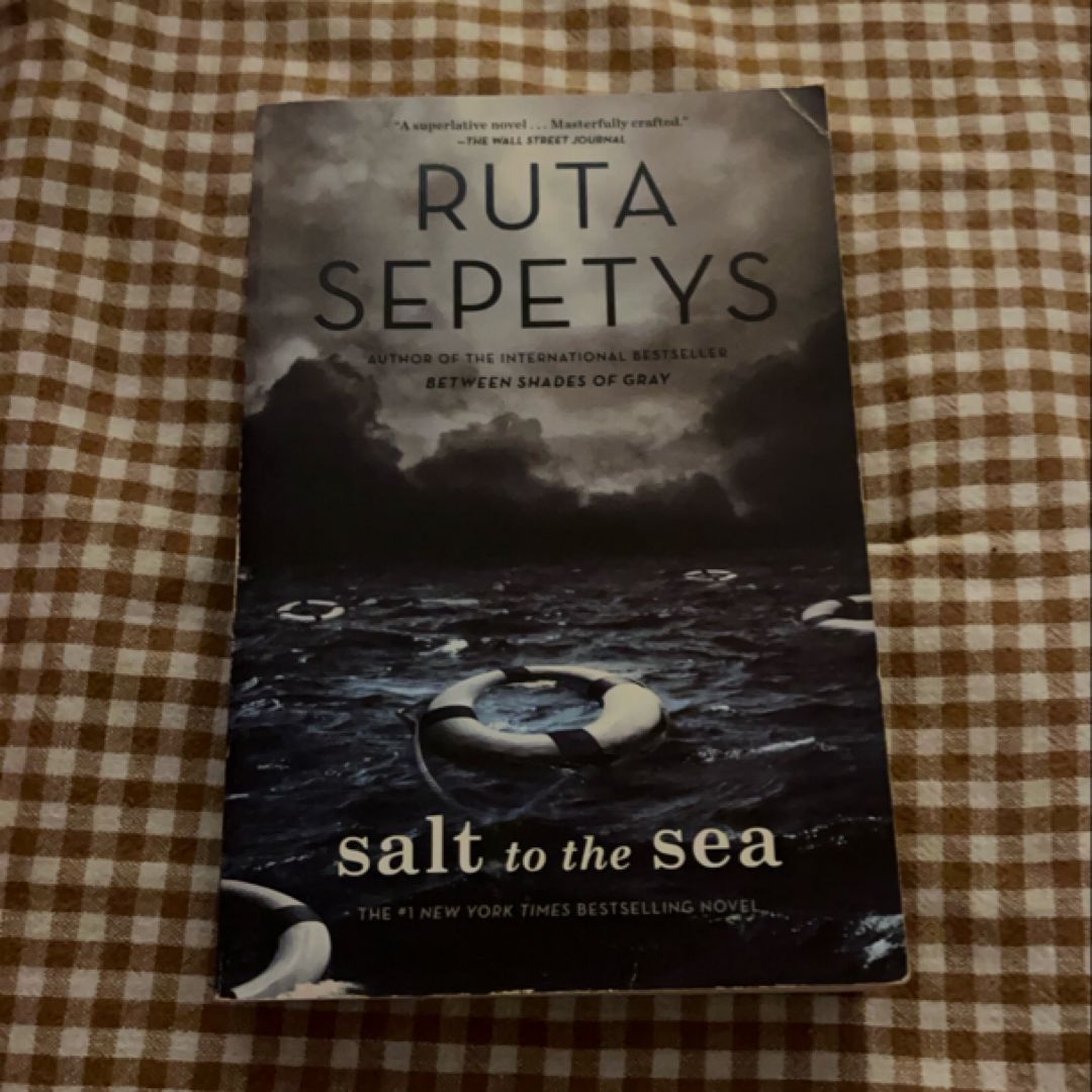 Salt To The Sea