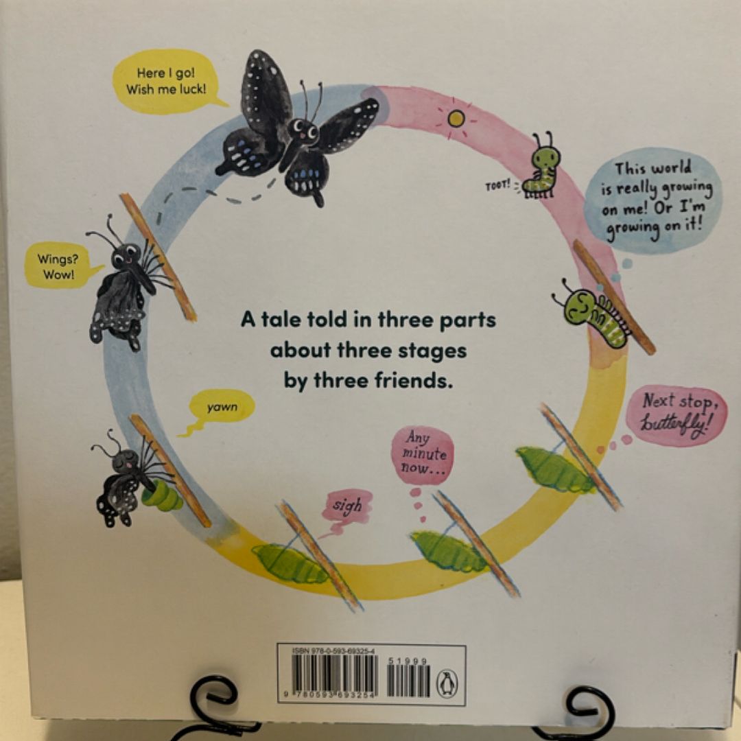 Papilio