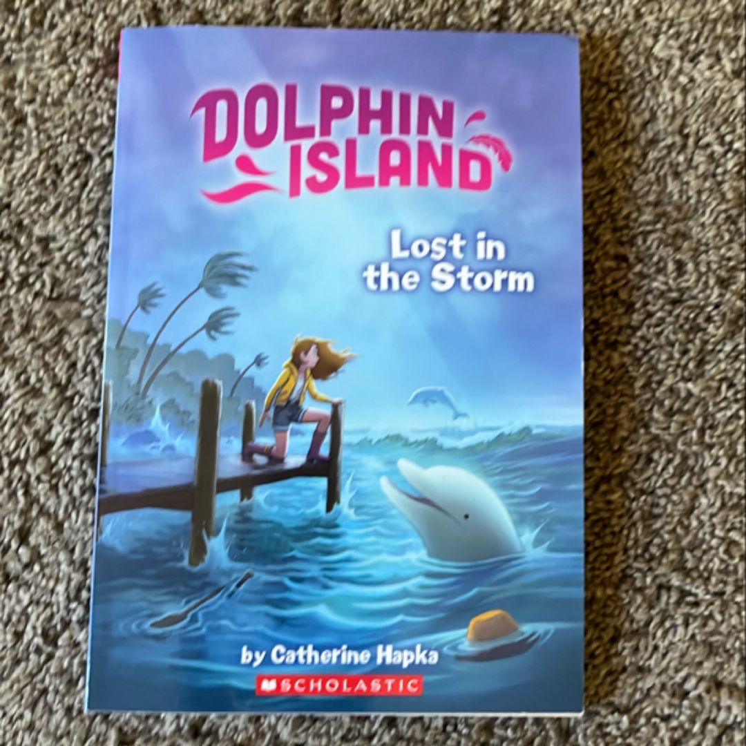 Lost in the Storm (Dolphin Island #2)