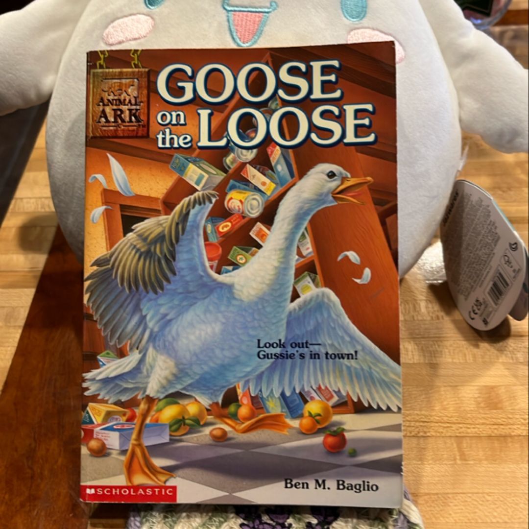 Goose on the Loose