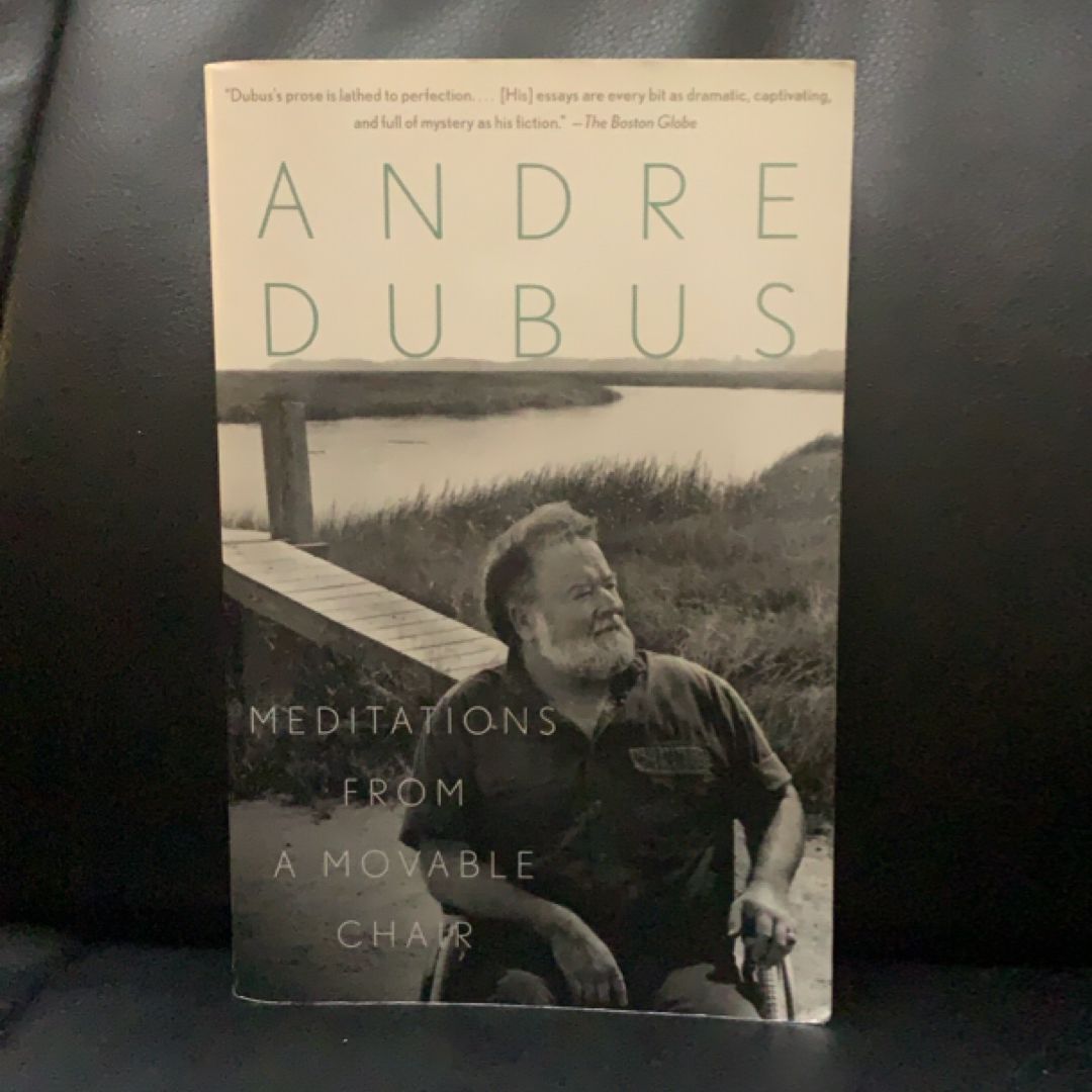 Meditations from a Movable Chair