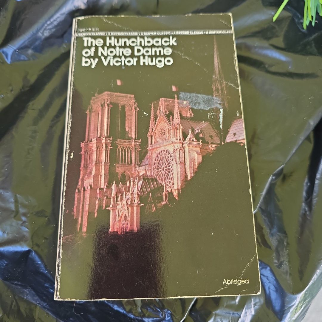 The Hunchback of Notre Dame