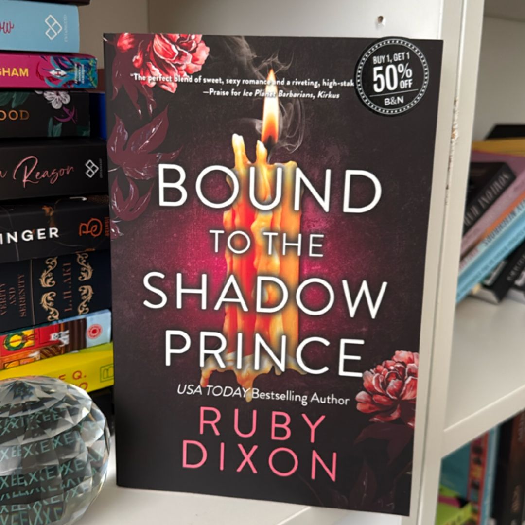 Bound to the Shadow Prince