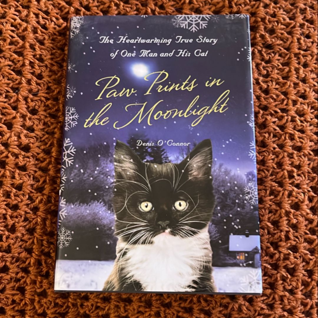 Paw Prints in the Moonlight