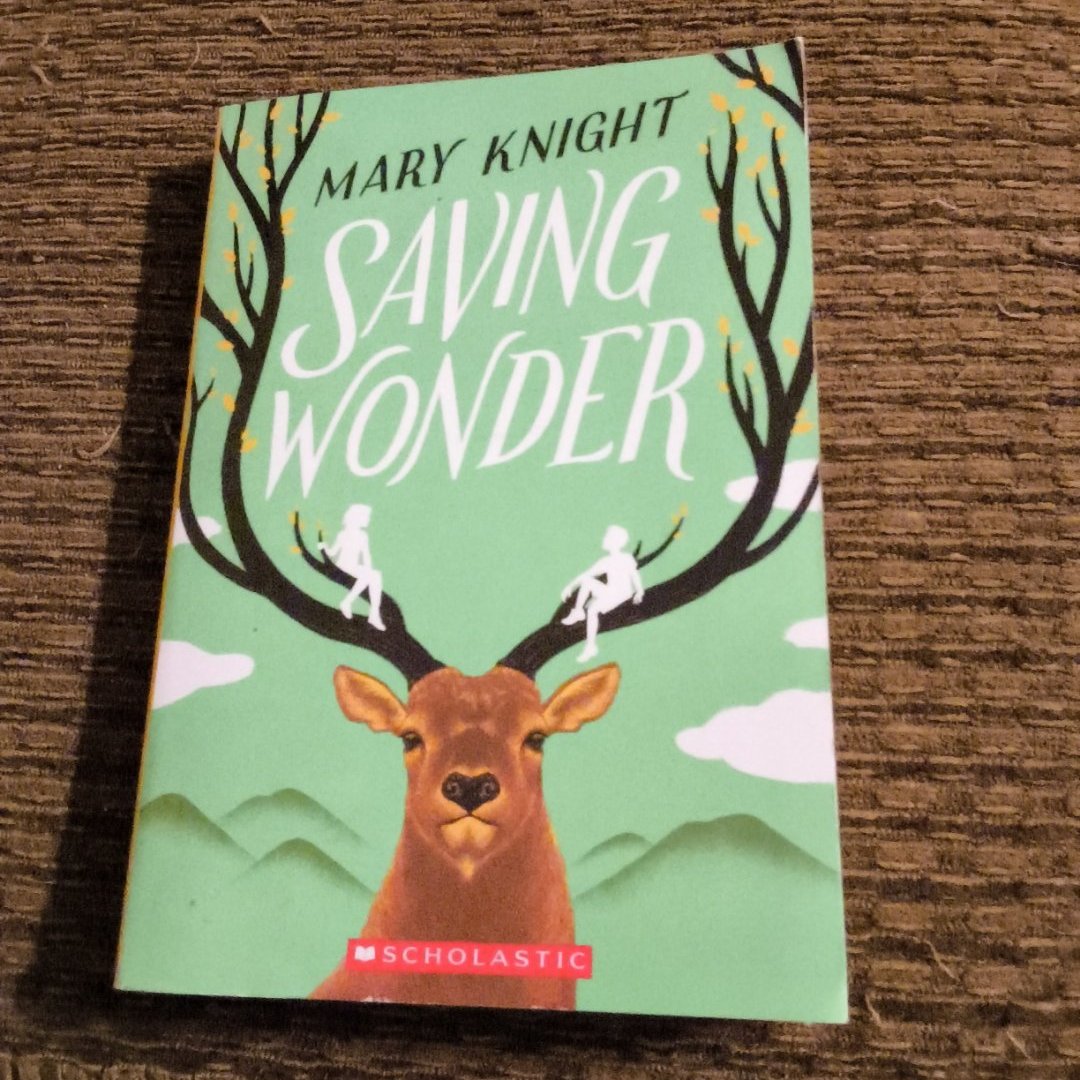 Saving Wonder