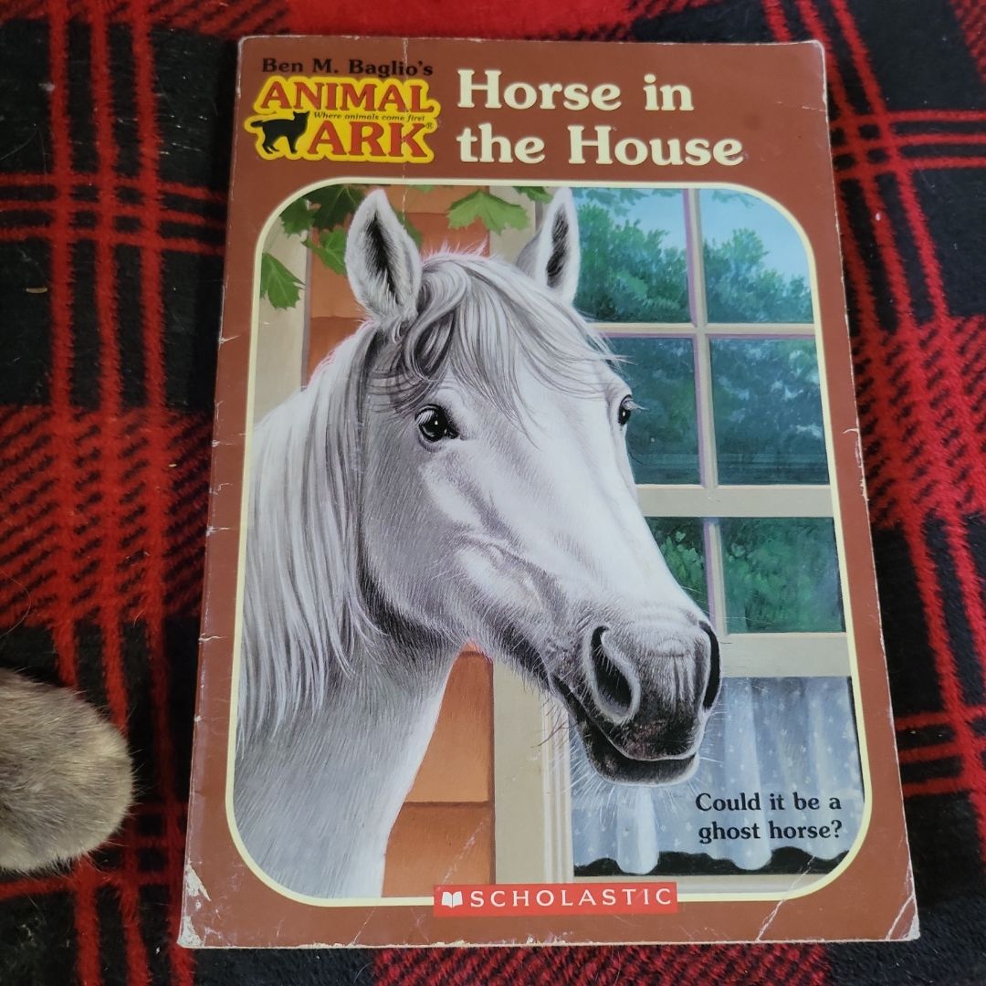 Horse in the House