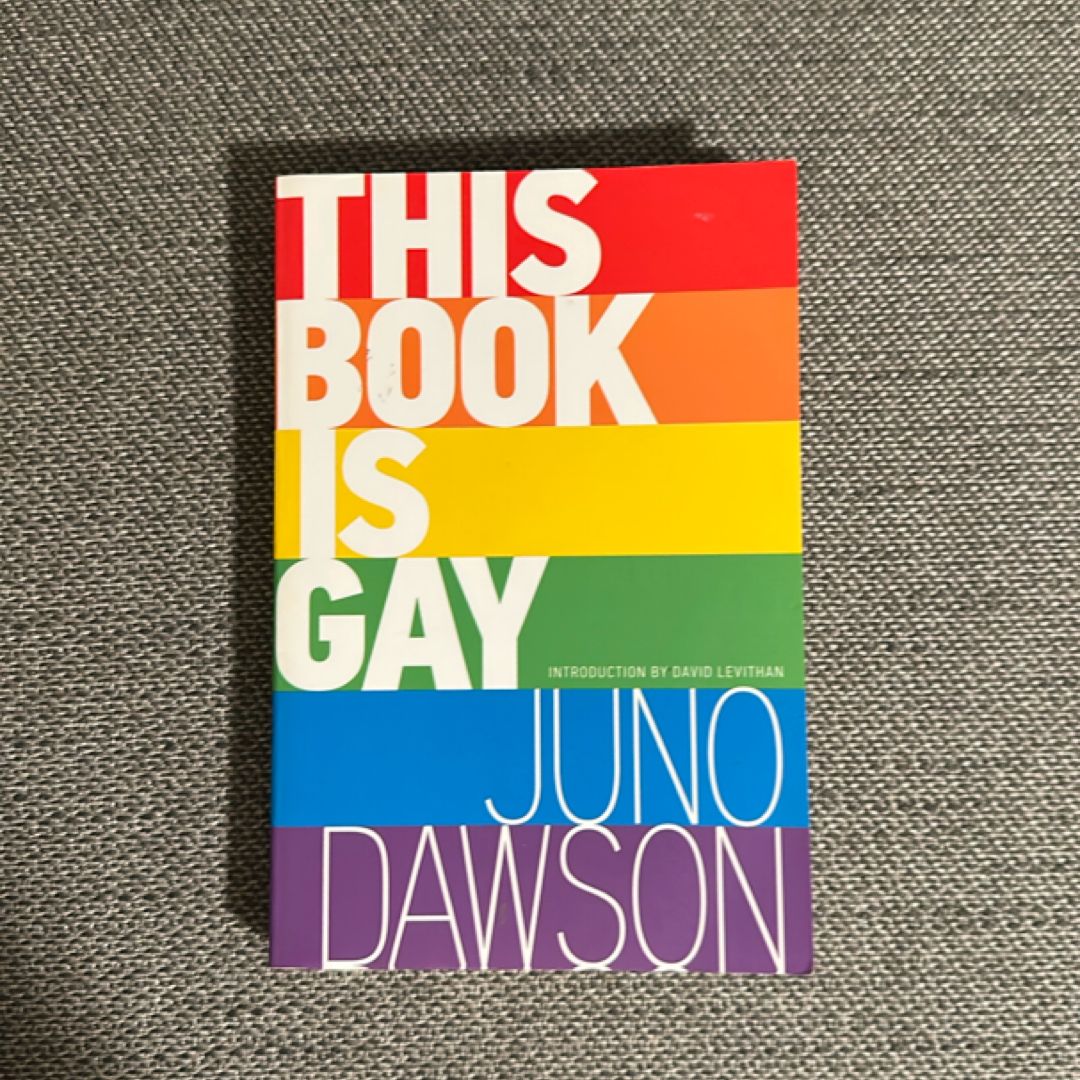 This Book Is Gay