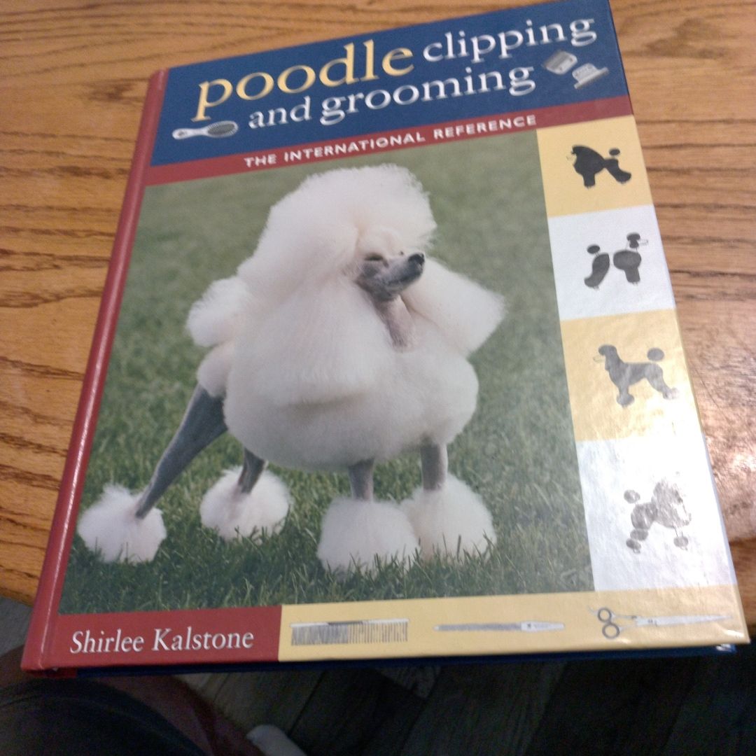 Poodle Clipping and Grooming