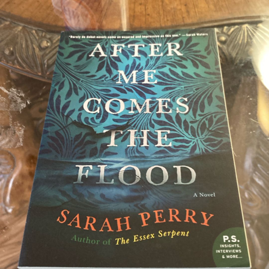 After Me Comes the Flood