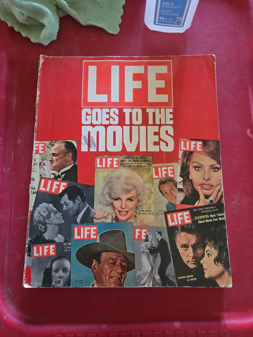 Life Goes to the Movies