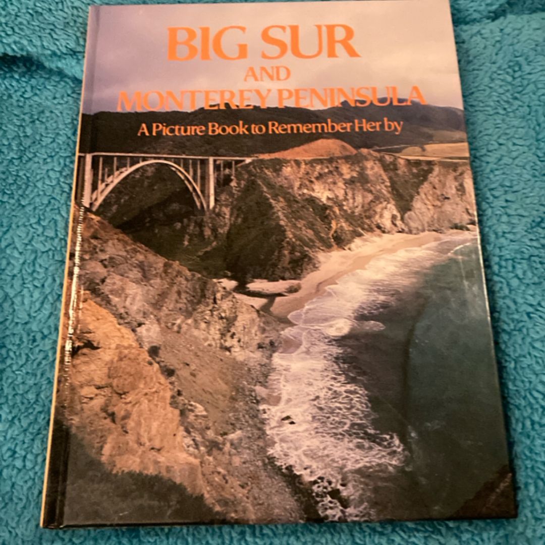 A Picture Book to Remember Her By