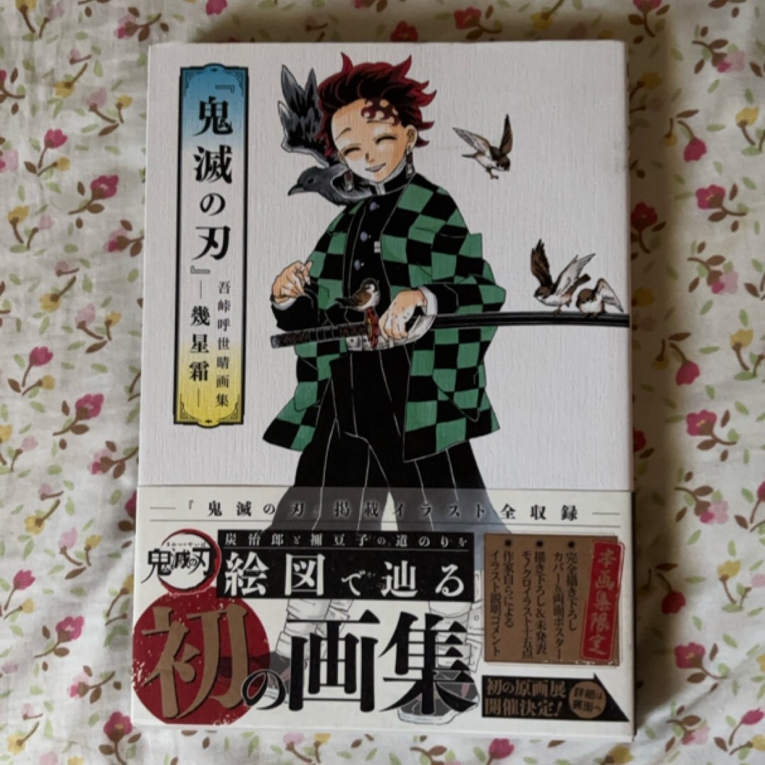 Kimetsu no Yaiba Official Illustration Book (Japanese edition)