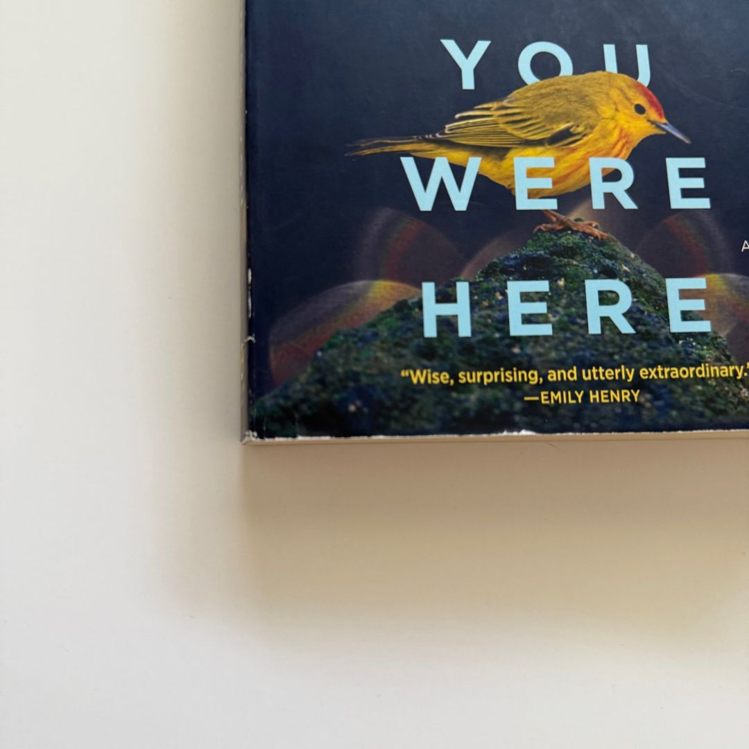 Wish You Were Here