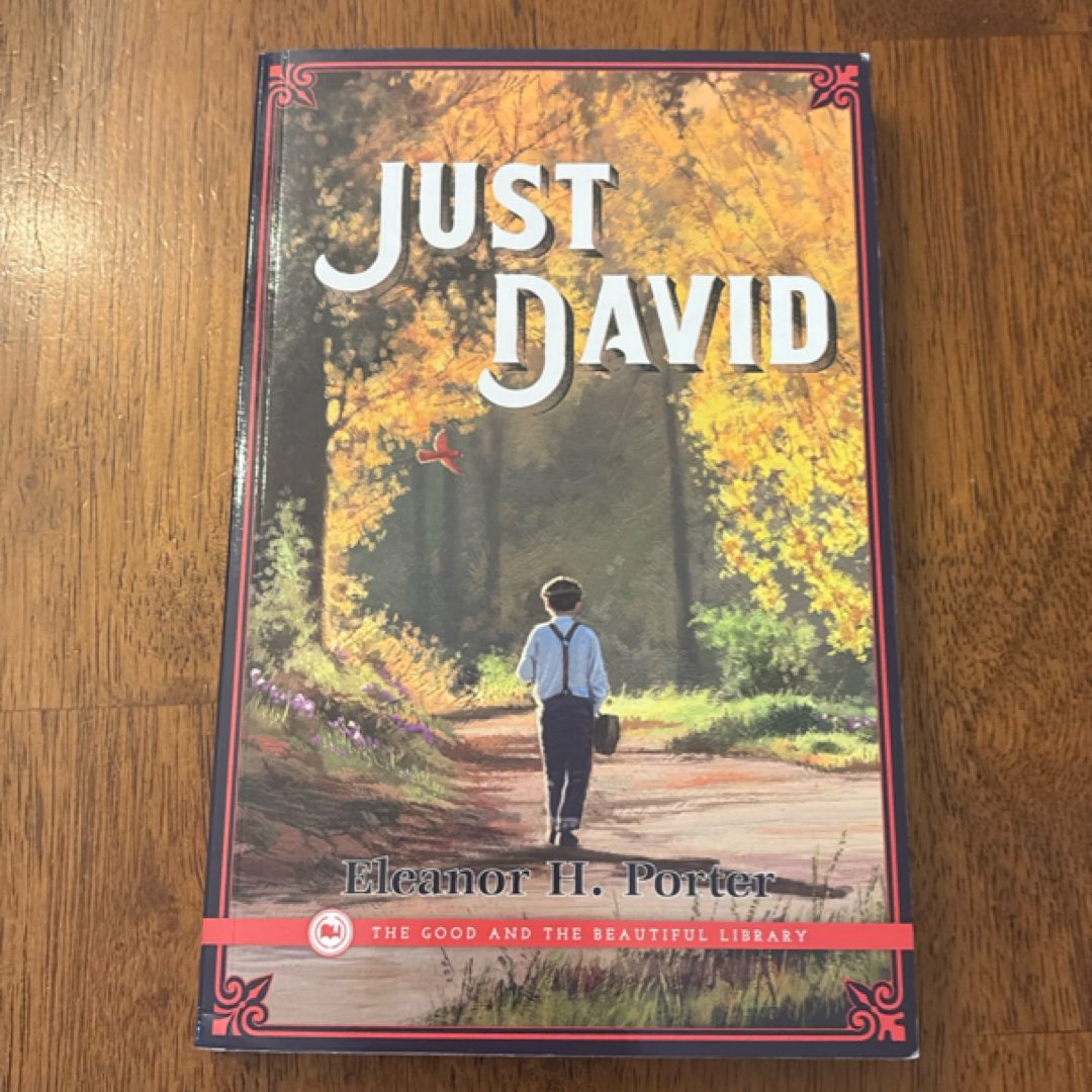 Just David by Eleanor H Porter, Paperback | Pangobooks