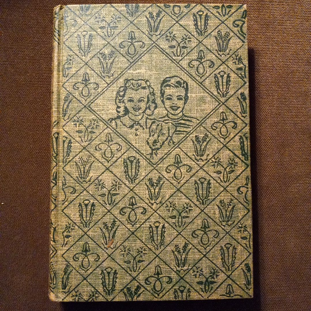 The Bobbsey Twins