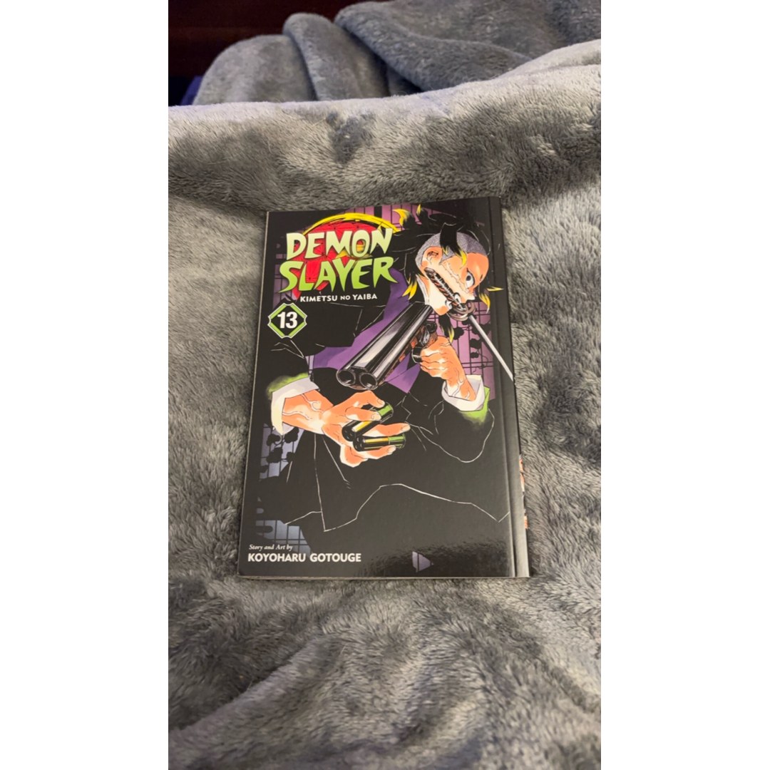 Demon Slayer: Kimetsu No Yaiba, Vol. 13