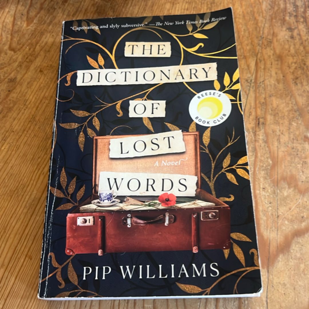 The Dictionary of Lost Words