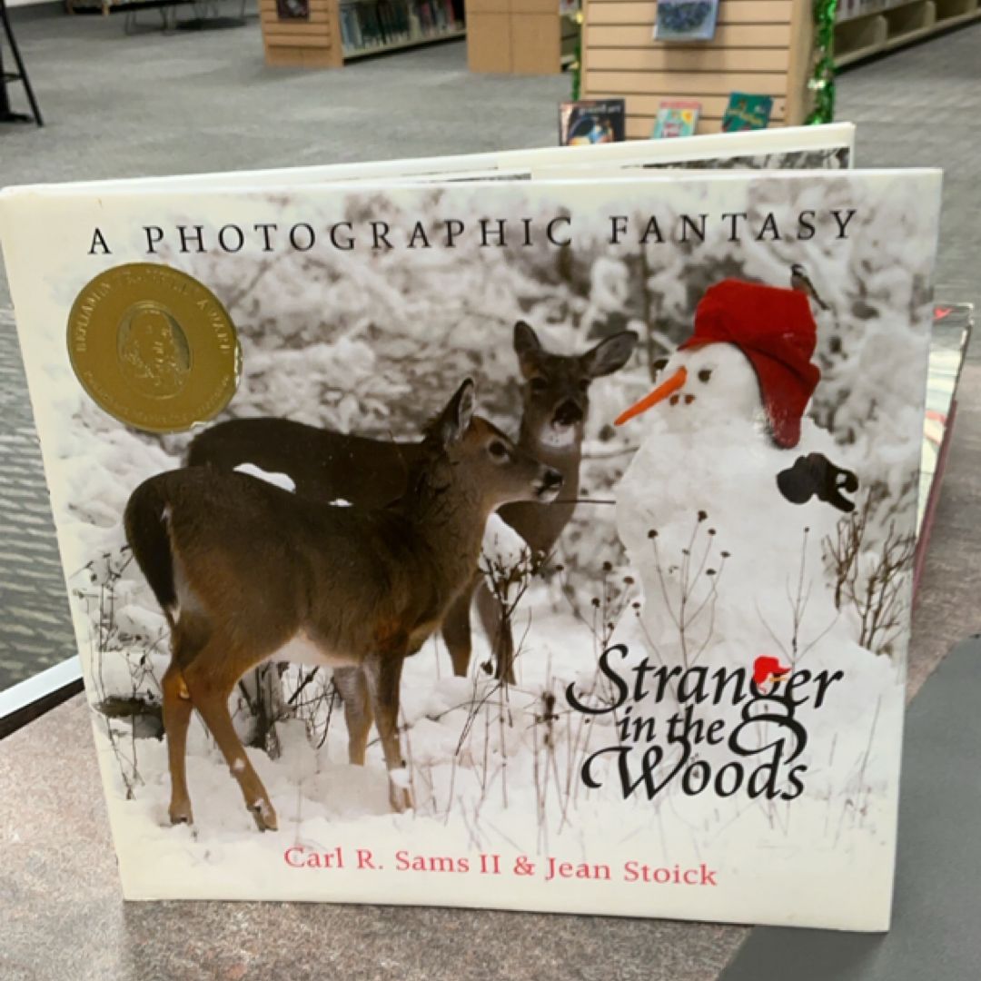 Stranger in the Woods