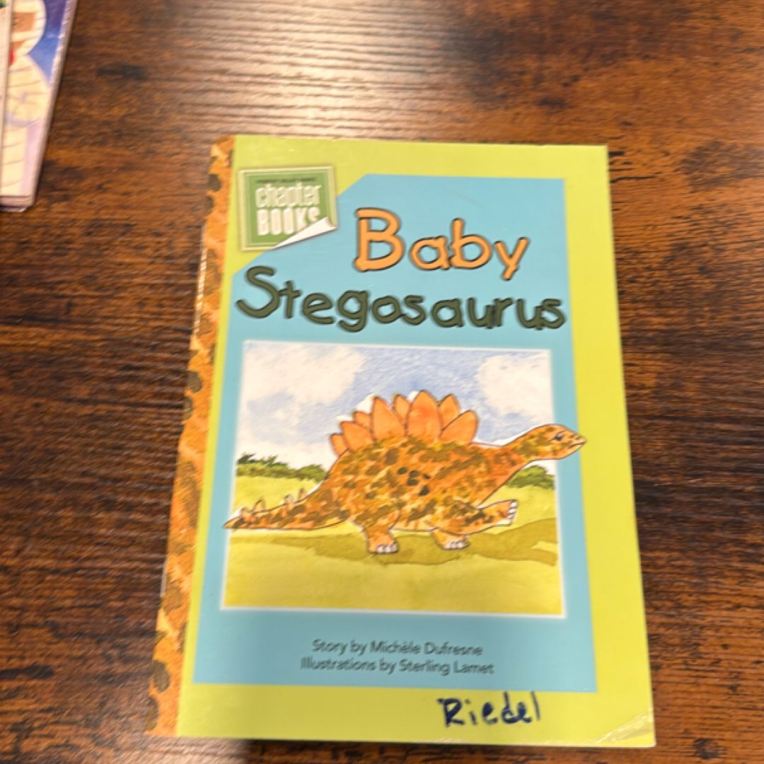 Baby Stegosaurus