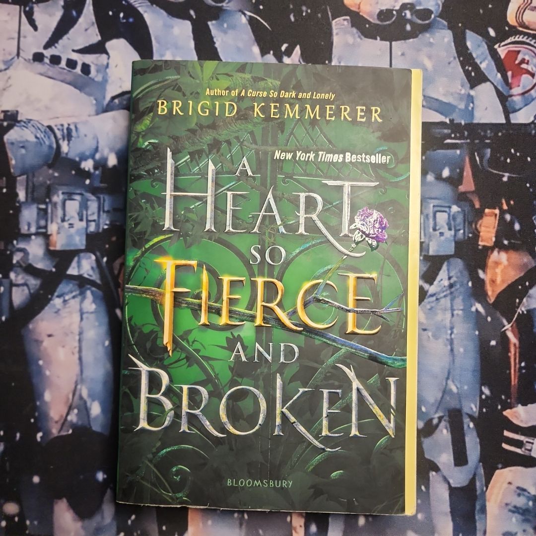 A Heart So Fierce and Broken