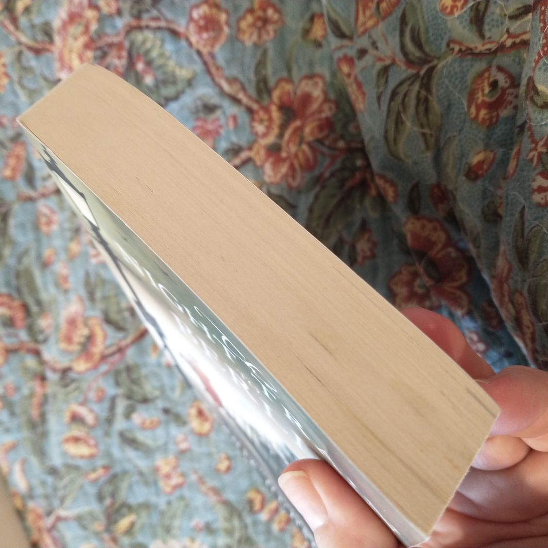 The Night Train to Berlin