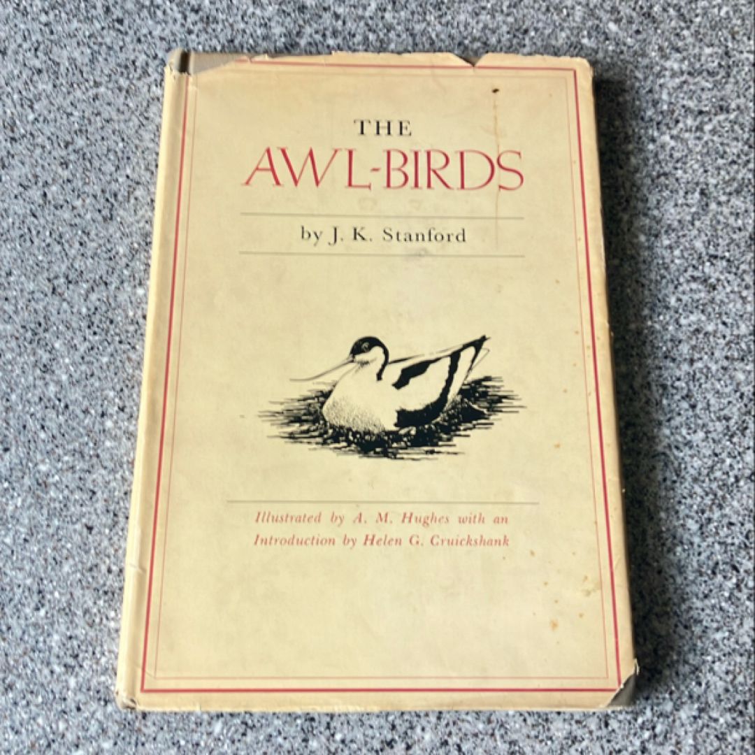 The Awl-Birds