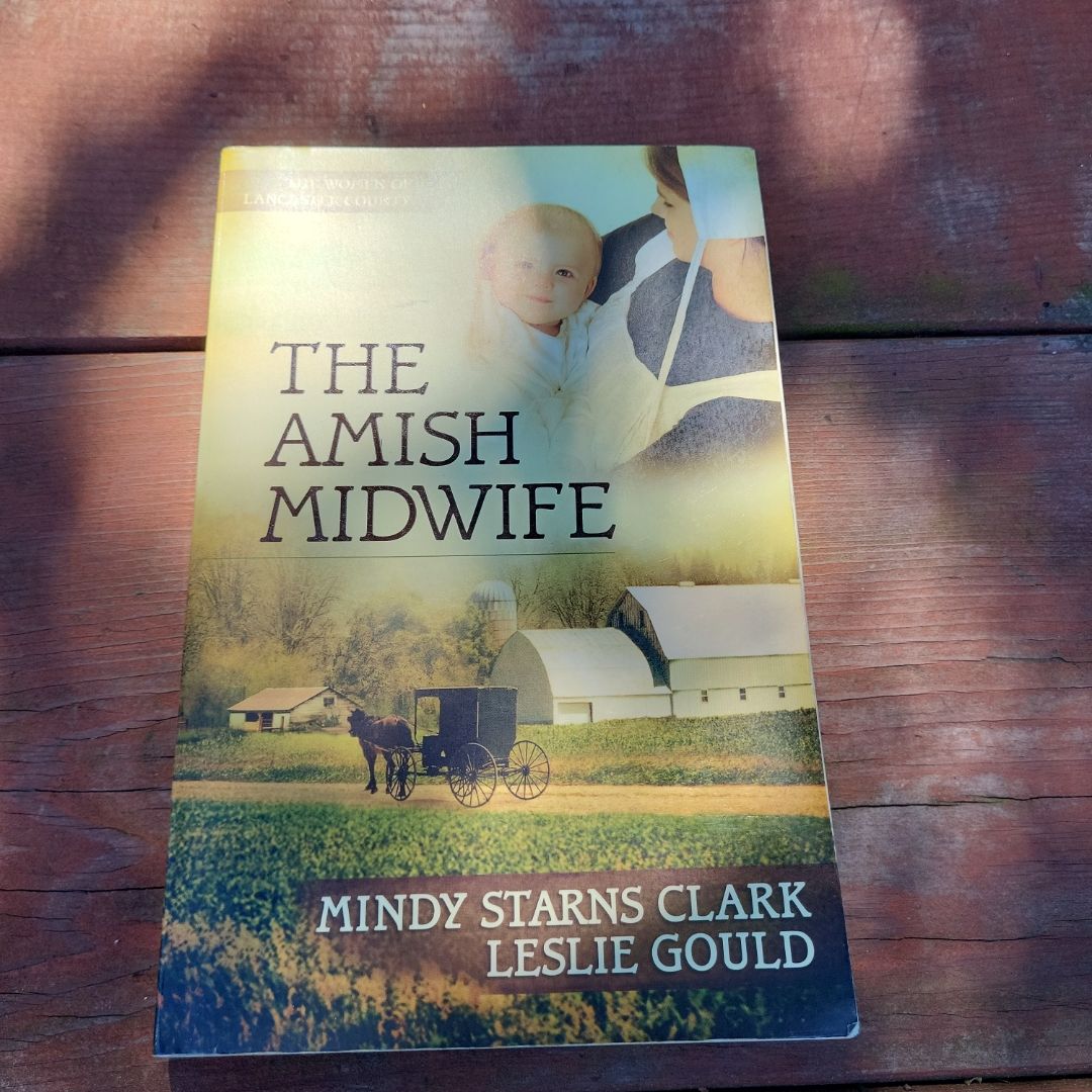 The Amish Midwife