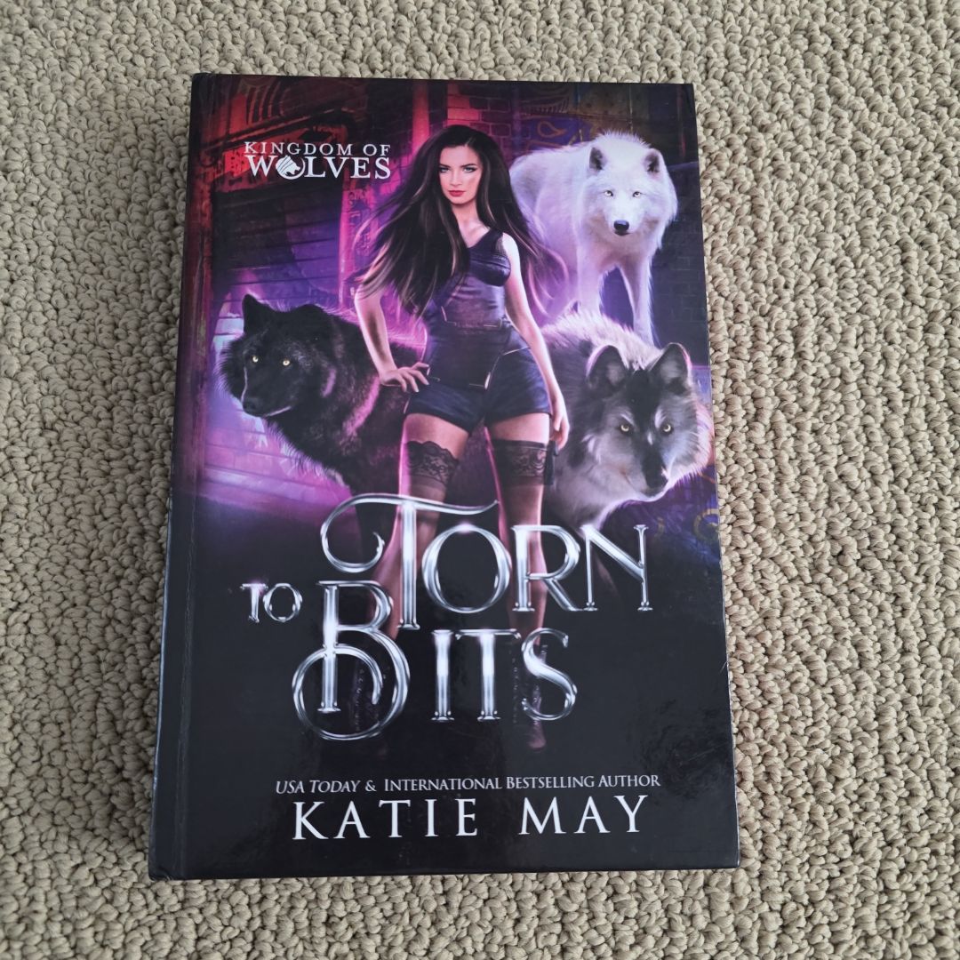 Torn to Bits: A Mafia/MC Shifter Romance
