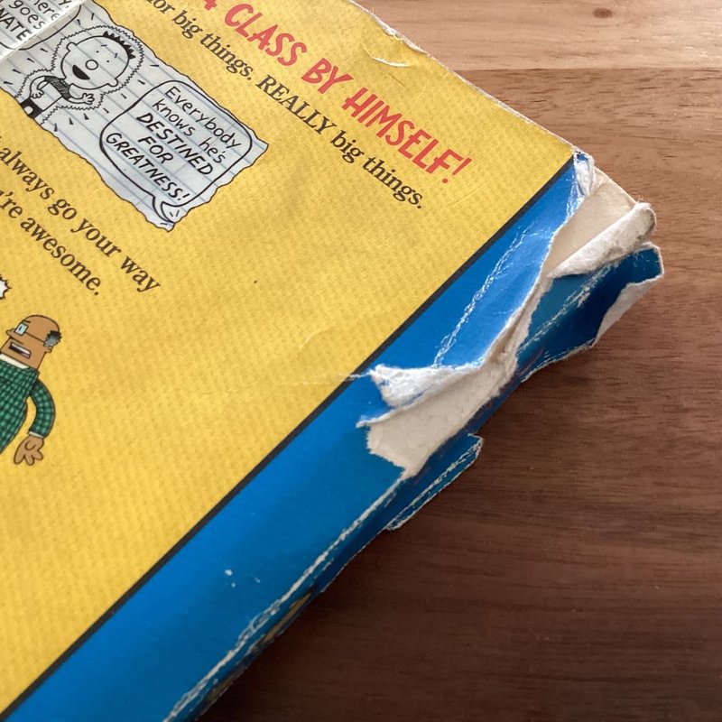 Big Nate: in a Class by Himself