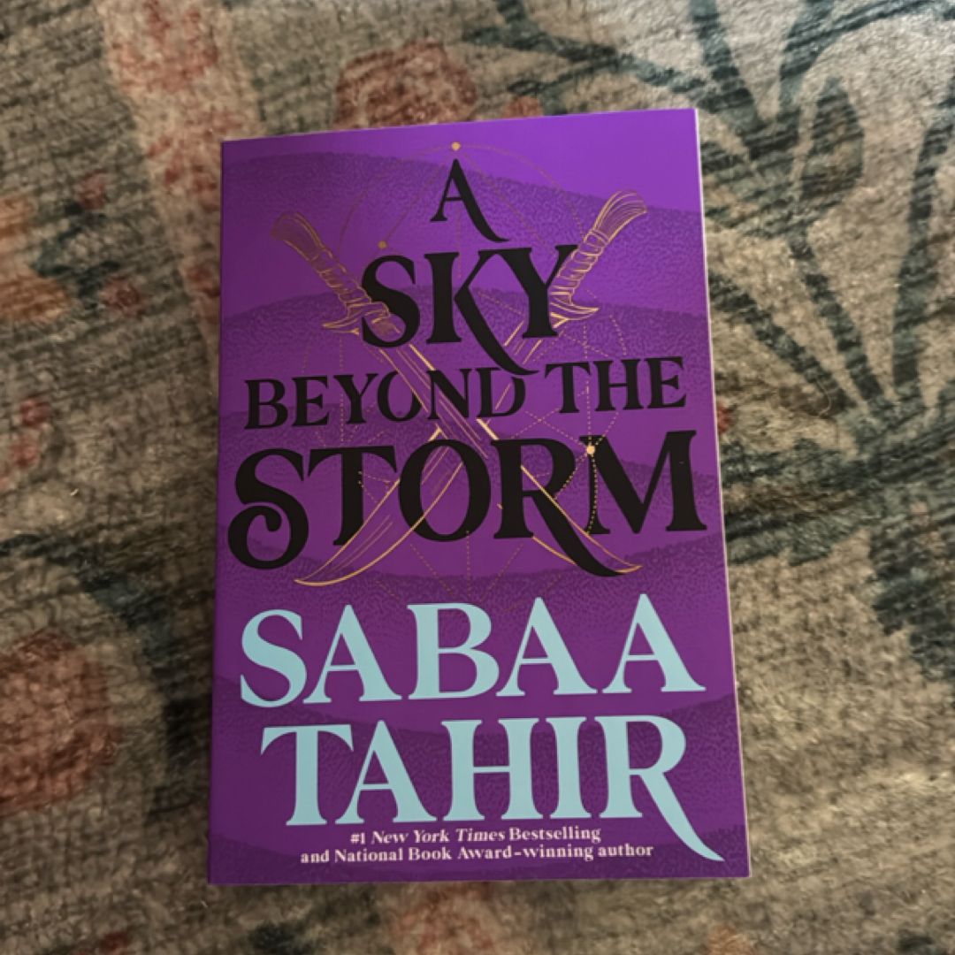 A Sky Beyond the Storm