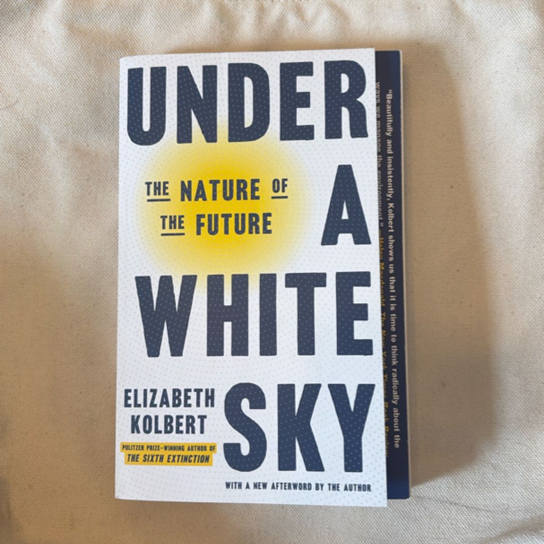 Under a White Sky