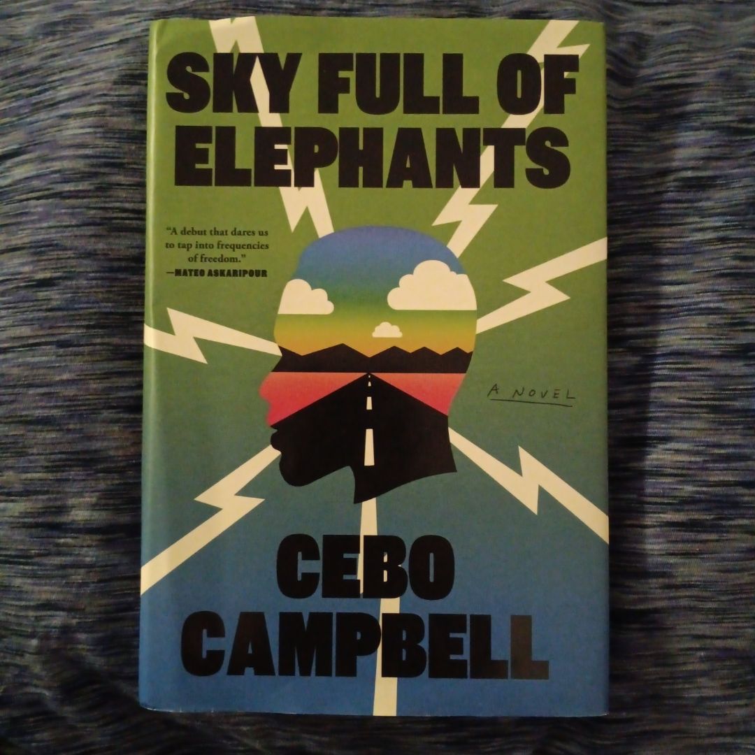 Sky Full of Elephants
