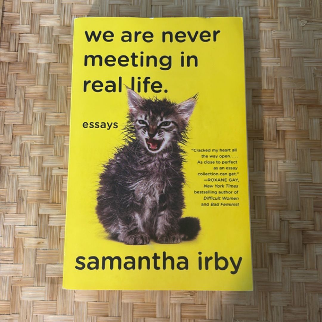 We Are Never Meeting in Real Life