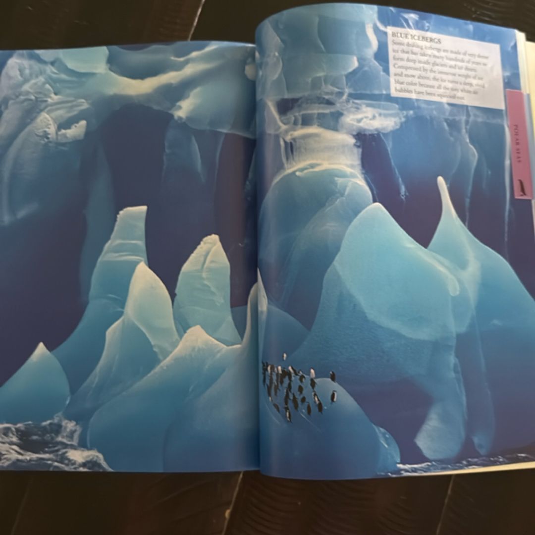 Ocean: a Visual Encyclopedia