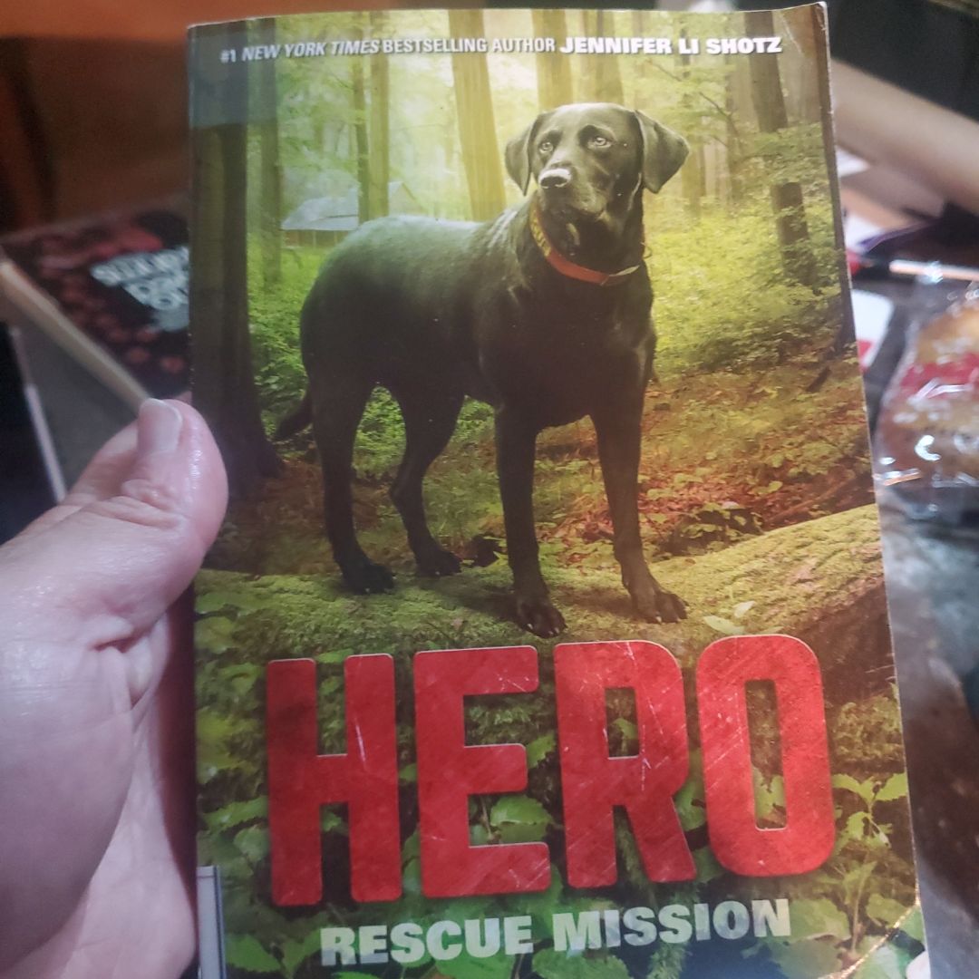Hero: Rescue Mission